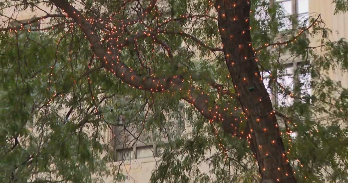 It's only October, but holiday lights are going up in Chicago's Daley ...