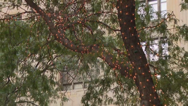 daley-plaza-lights.jpg 
