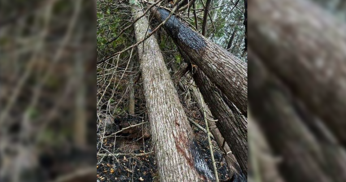 Lightning strikes confirmed as cause of 2 wildfires burning in Michigan ...