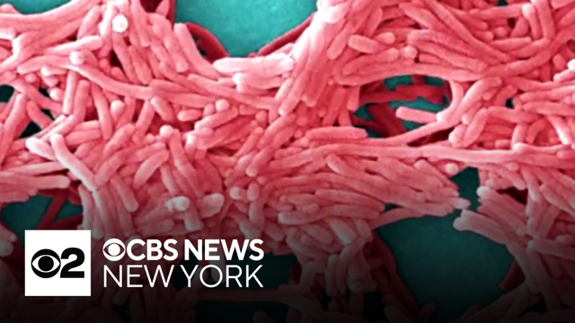 NYC Council considering bill aimed at preventing Legionnaires' disease