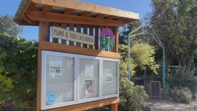 San Jose Community Garden 