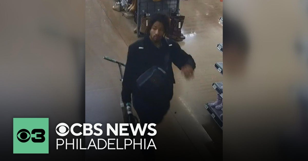 Man stole rifle from Pennsylvania Walmart store after providing fake paperwork, ...