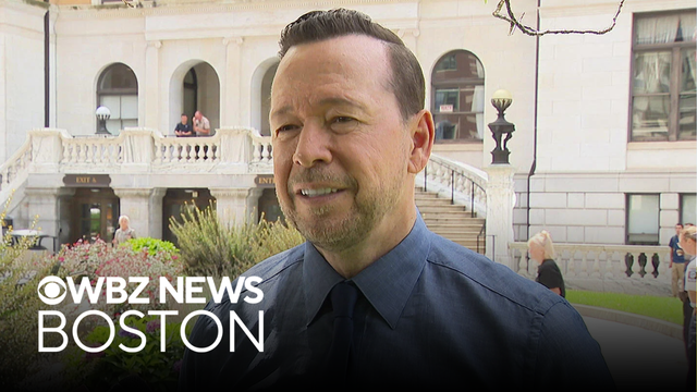 Donnie Wahlberg on jet that went off Las Vegas runway, hit fence