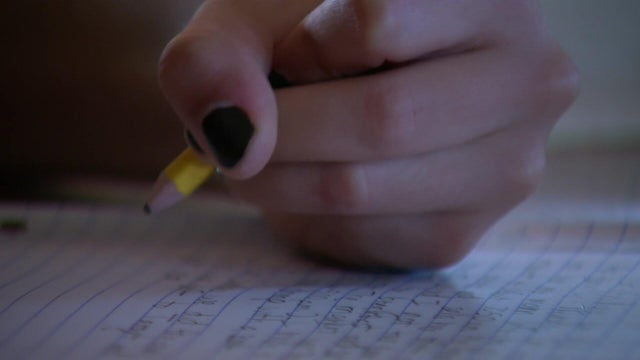 12p-vo-school-cuts-wccobi2s.jpg 