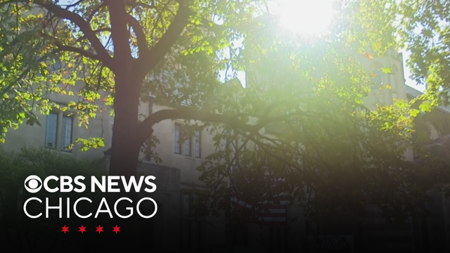 Woman alleges rape at University of Chicago fraternity party in lawsuit also naming Alpha Delta Phi