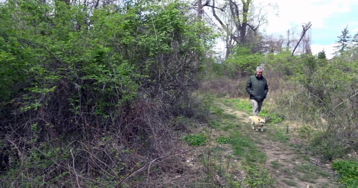 Delaware County voters to decide on $120 million open space borrowing ...