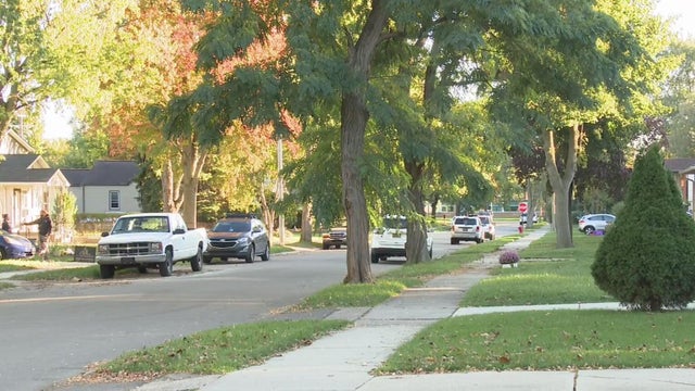 I-696 construction causing rat problems for Ferndale residents