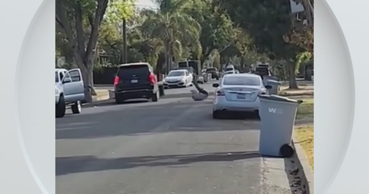 Federal immigration vehicle hits pedestrian in Woodland, police say