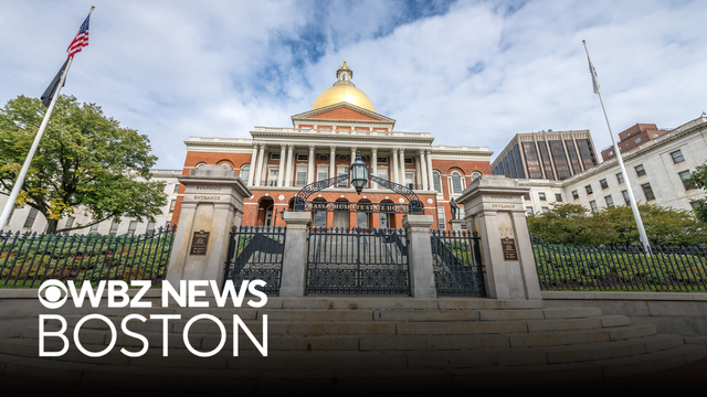 Why are there so many Massachusetts ballot questions? Is the system broken?