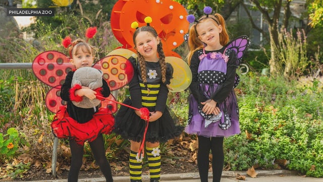 Three girls at the zoo are wearing Halloween costumes - a ladybug, a bumble bee and a butterfly 
