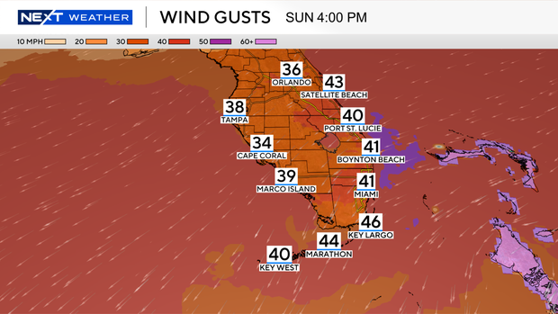 future-wind-gusts.png 