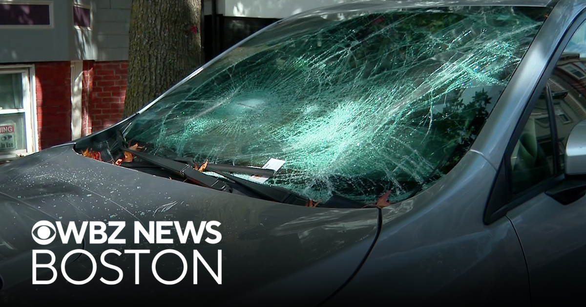 Police investigate after windows smashed in South Boston - CBS Boston