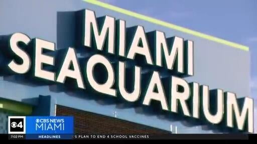 New lawsuit filed by Virginia Key residents over the Miami Seaquarium's planned redevelopment