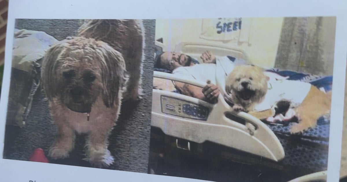 Philadelphia mother pleads for return of son's stolen dog: 
