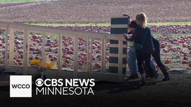 New ramp lets people who use wheelchairs ride the hayride at a Farmington pumpkin farm