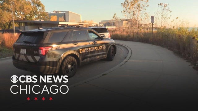 Northwestern University student dies after being pulled from Lake Michigan