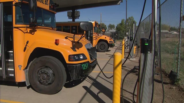Adams 14 shows off new electric school buses