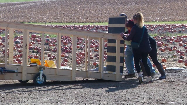 6p-pkg-accessible-fall-fun-wccobigc.jpg 