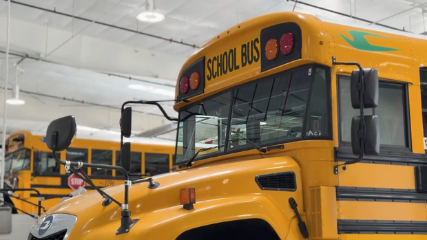 diesel-buses.png