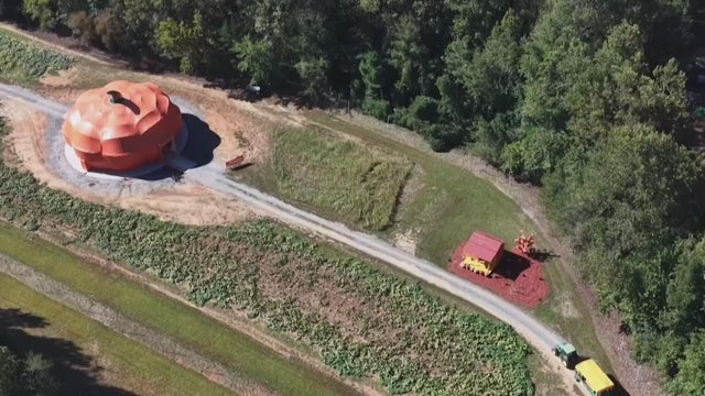 Step inside Georgia&rsquo;s giant pumpkin attraction at Bert&rsquo;s Pumpkin Farm
