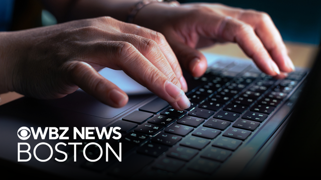 Cyber experts use AI to uncover website security flaw