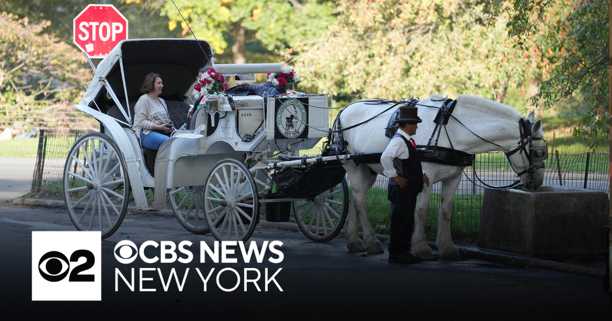 NYC Council to vote on Romanch's Law banning horse carriages by 2028 as drivers rally outside City Hall; Transport Workers Union vows federal court challenge