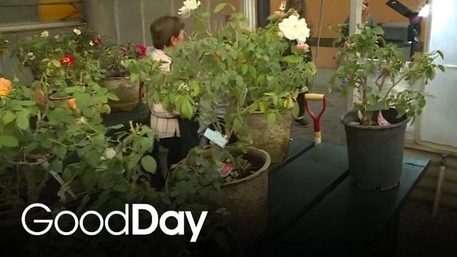 The Lodi Garden Club turns 80!
