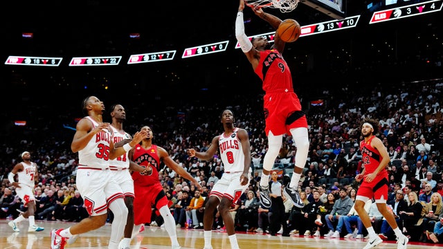 Bulls Raptors Basketball 
