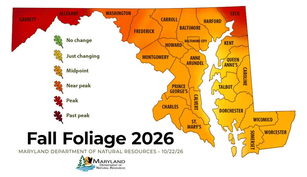 Maryland fall foliage forecast: Map shows leaves still approaching peak ...