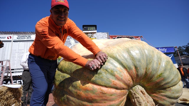 53rd Annual Safeway World Championship Pumpkin Weigh-Off in Half Moon Bay 