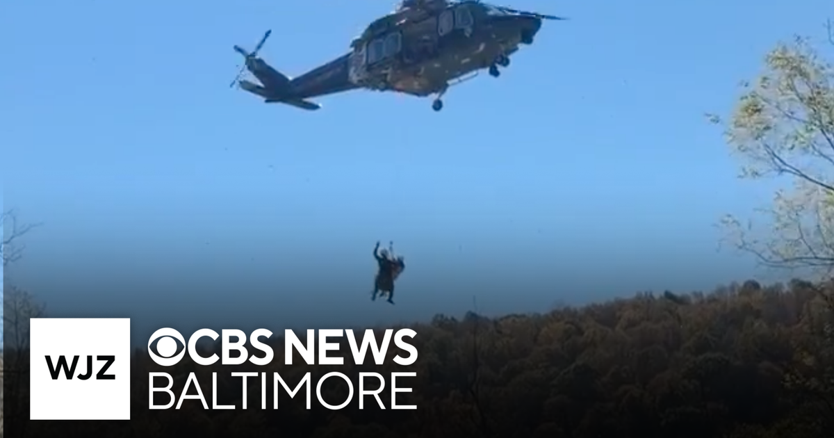 Maryland hunter rescued after falling from tree stand - CBS Baltimore