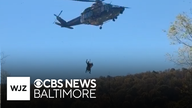 Maryland hunter rescued after falling from tree stand