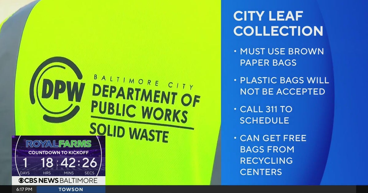 Baltimore DPW has begun leaf collection, urging homeowners to use brown ...