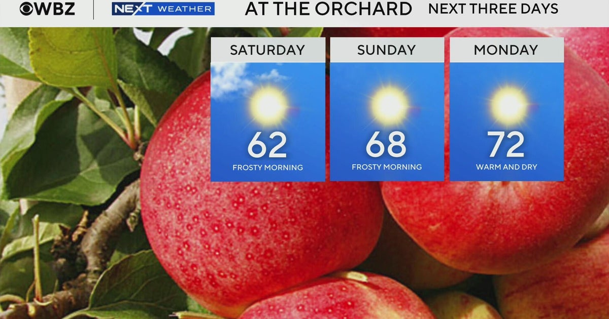 Next Weather: WBZ Evening Forecast For October 23 - CBS Boston