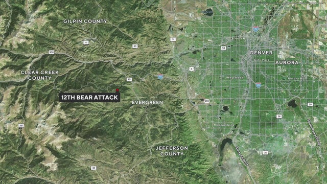 Man injured fighting off bear in 12th Colorado bear attack in this year