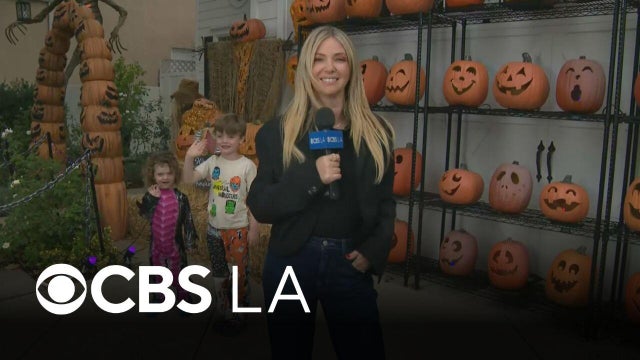 The Studio City neighborhood that goes all out for Halloween | CBS LA