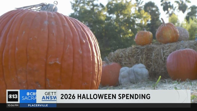 Northern California pumpkin patches busy as Halloween spending projected to break records despite ec