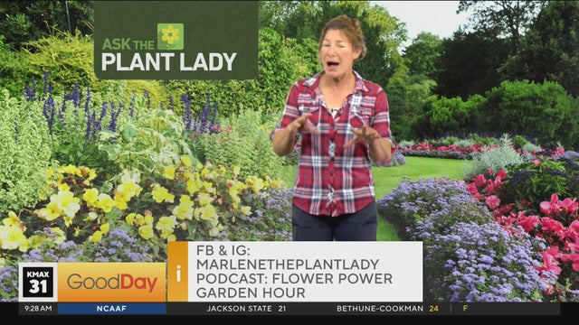 The Plant Lady 9am Pt. 1