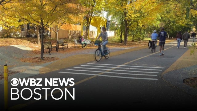 Somerville installs rumble strips on popular path to curb high-speed cyclists
