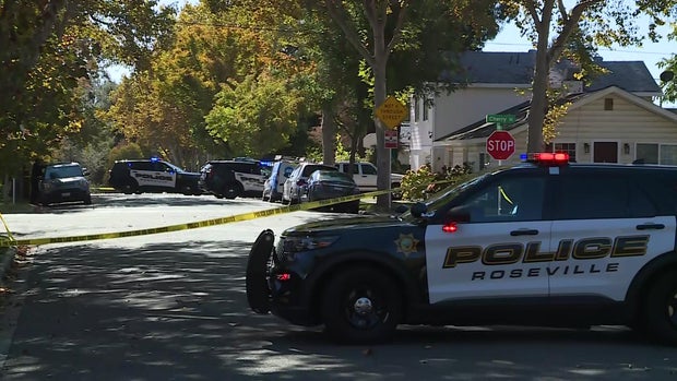 Roseville police standoff, Irene Avenue