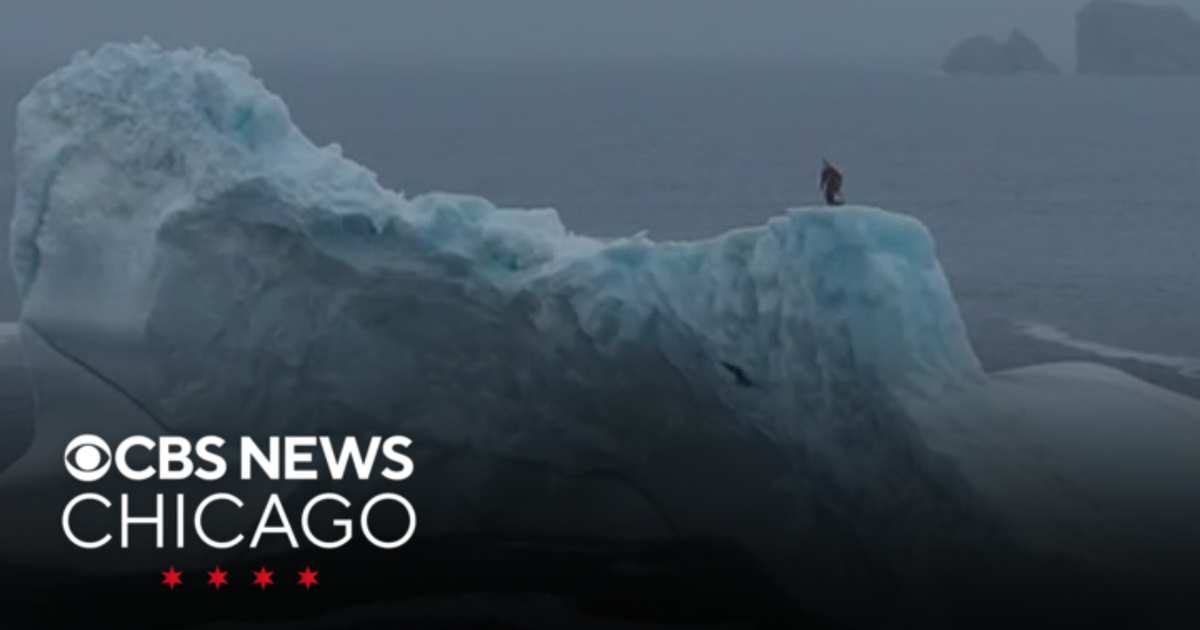 Canadian cliff diver becomes first woman to dive from iceberg in Newfoundland