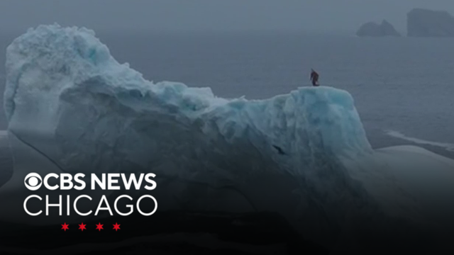 Canadian cliff diver becomes first woman to dive from iceberg in Newfoundland