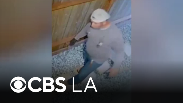LAPD officers arrest Westchester peeping supsect