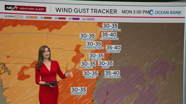 NEXT Weather Alert in effect across South Florida due to king tides, strong winds, heavy downpours