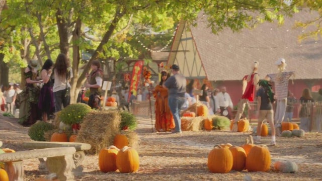 Halloween festivals to be held across North Texas
