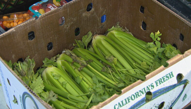 the-action-center-colorado-food.png 