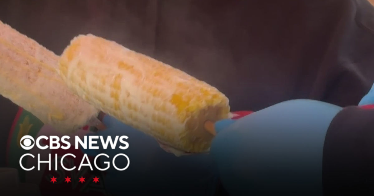 Chicago street vendors rally against restrictive regulation - CBS Chicago