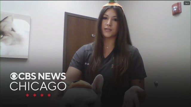 A warning about pets and Halloween candy