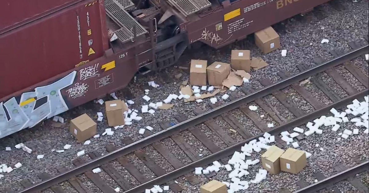 Thieves target freight train on Chicago's West Side, leaving Metra trains halted