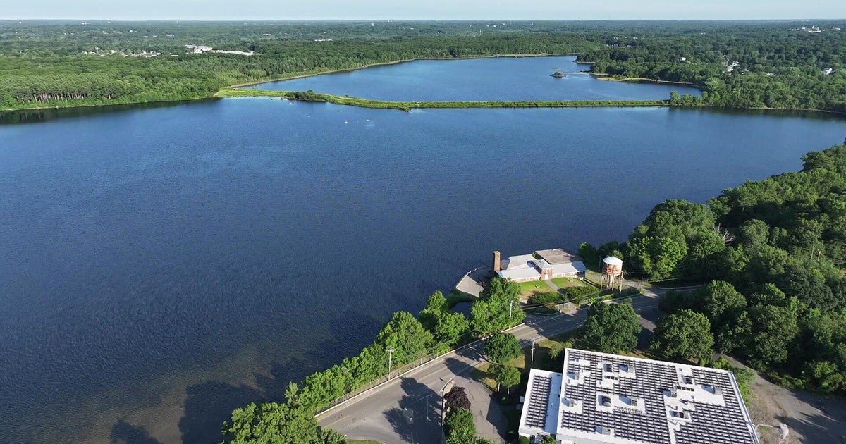 Massachusetts ballot question 6 would create Nature for All Fund. Here's how it would work.